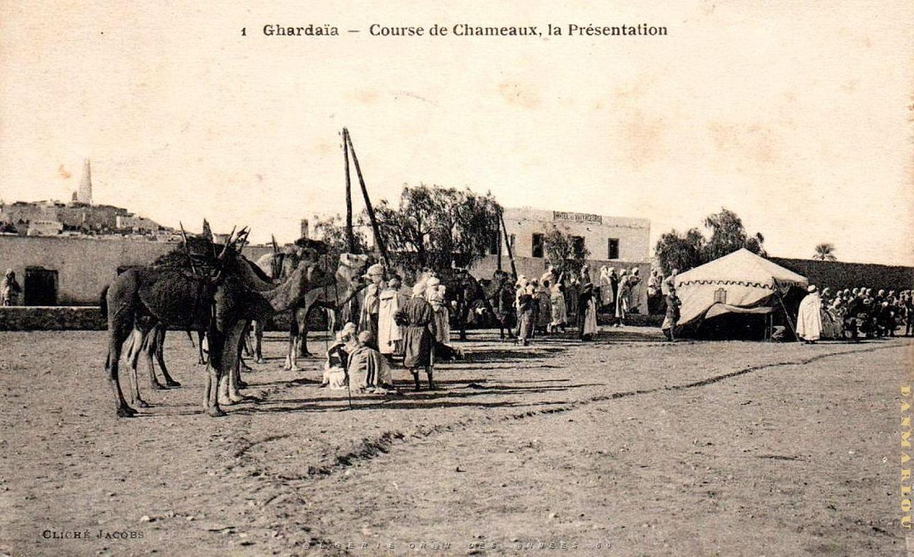 Ghardaia - Course de Chameaux - Presentation.jpg